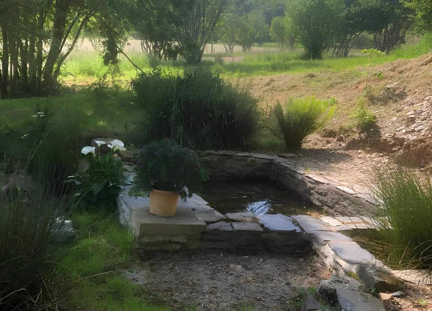 Gite Equestre Du Dourdu Loperec 0*,