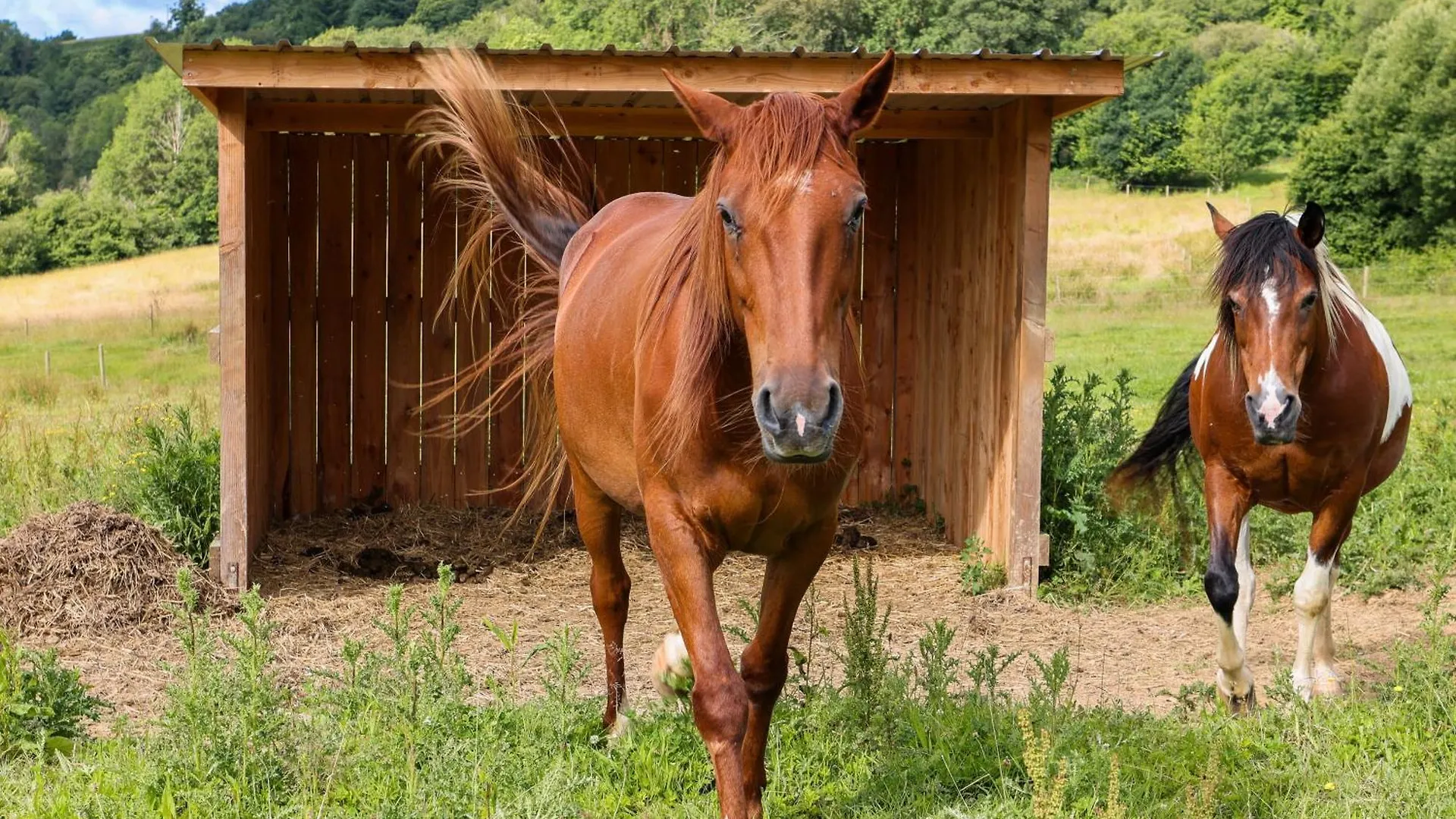 Gite Equestre Du Dourdu Loperec